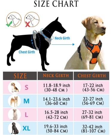 SLZZ Personalized Custom No Pull Dog Harness Leash Set with Name Phone Number-Heavy Duty Reflective Soft Padded Vest with Easy Control Handle for Small Medium Large Dog-2 Leash Attachments - Buy Online on GoSupps.com
