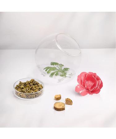 FLORASIS Ginseng Care Lip Balm - Overnight Lip Sleeping Mask for Lip Care - Buy Online on GoSupps.com