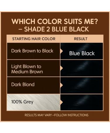 BIONDA Professional permanent hair color Color Cream 2 Blue Black 200ml Double pack Keratin & Moringa Care Longlasting intense color with shine 100 gray coverage - Buy Online on GoSupps.com