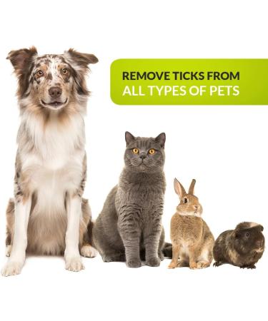 Zrilubkrelz Tick Tongs Tick Remover Set - Premium Tick Protection for Dogs, Cats, Horses - 3 Tick Levers Included - Buy Online on GoSupps.com