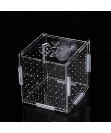 POPETPOP Fish Breeding Box - Isolation Hatchery for Small Baby Fish & Shrimp - Suction Cup Size 1 - Buy Online on GoSupps.com