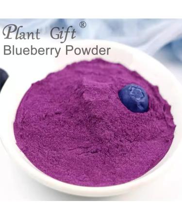 100% Natural Pure Blueberry Powder 100g/3.52oz poudre de myrtille pour smoothies et petit d jeuner lyophilis sans sucre ajout  - Buy Online on GoSupps.com