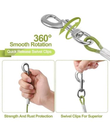 Shop Robust 50ft Expression Cable for Dogs - Durable Outdoor Leash for Farm & Camping (16ft Green) - Buy Online on GoSupps.com