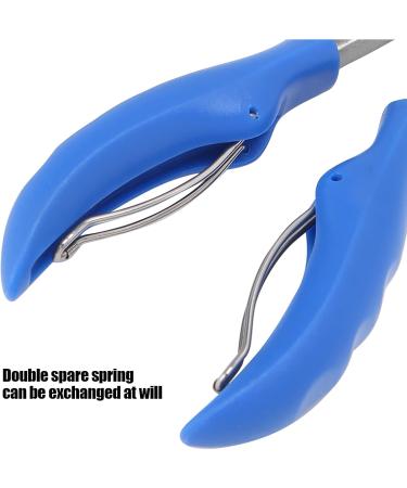 Nail Clippers Set Double Spring Toenail Clippers Ingrown Fingernail Toenail Tools Kit Nail Pedicure Clippers Toenail Corrector Professional Manicure Pedicure Tool(blue) - Buy Online on GoSupps.com