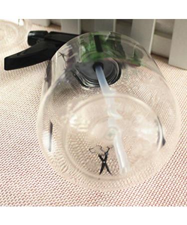 Bimhayuu 250ml Small Transparent Spray Bottle - Perfect for Hair Plants & Flowers (2 Pack) - Refillable Atomizer for Water & Hair Care - Buy Online on GoSupps.com