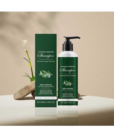 Shampoing naturel bio contre la perte de cheveux et la chute des cheveux sans paraben ni sulfate (100 ml) 0.33 g (Lot de 300) - Buy Online on GoSupps.com