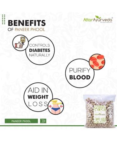 LOGY Paneer Phool Herb for Diabetes (400 Grams) | Paneer Doda | Withania Coagulans - Buy Online on GoSupps.com