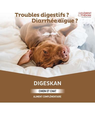 Cl ment Th kan - Oral Paste for Digestive Disorders Based on Prebiotics and Probiotics for Dogs and Cats - Digeskan 60 ML - Buy Online on GoSupps.com