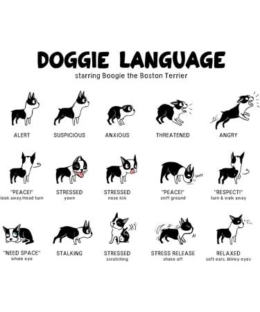 Professional Dog Whistles - Hongecb 2-Piece Stainless Steel Set | Adjustable Pitch Frequency Lock for Effective Dog Training - Buy Online on GoSupps.com