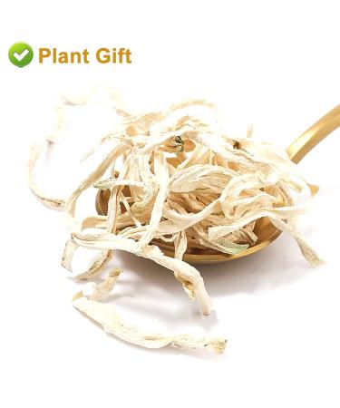 Buy 100% Organic Dried Papaya - 30g Natural Herbs for Digestion Enzymes | DRIDDADA - Buy Online on GoSupps.com