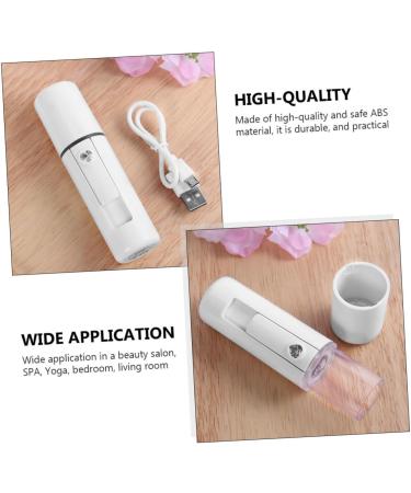 BIUDECO 4 Pcs Spray Meter Skin Moistener Home Diffusers Face Steamer Facial Humidifier Mini Plastic White - Buy Online on GoSupps.com