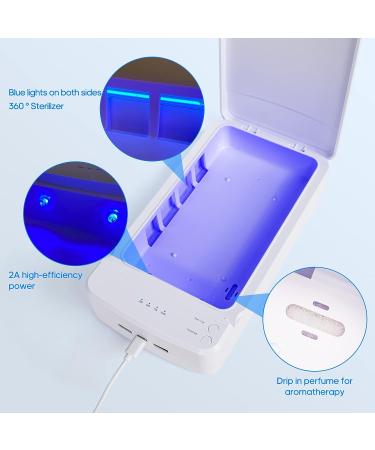 Lenlang Nail Tool Sterilizer with Blue Light - Portable USB Sterilization Box for Manicure Supplies - Buy Online on GoSupps.com
