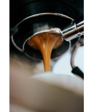 Costa Rican 100% Arabica Medium Roast Whole Coffee Beans - Single Origin 500g - Buy Online on GoSupps.com