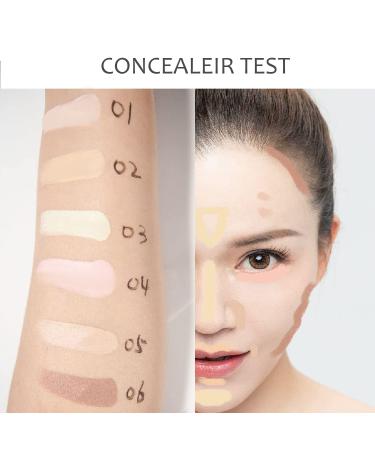 6-In-1 Color Correcting Concealer Contour Palette for Dark Circles & Blemishes with 2 Brushes - Buy Online on GoSupps.com