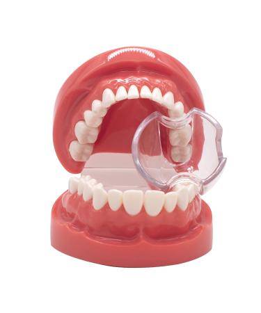 Angzhili 5 Pcs Dental Mouth Opener - Clear Plastic Lip Cheek Retractor for Posterior Teeth - Buy Online on GoSupps.com