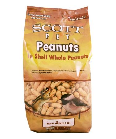 Peanuts Polybag 4 Lbs