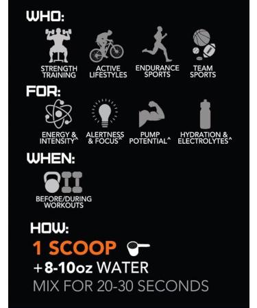 Rival Powder Burn 2.0 Pre-Workout Powder | Intense Pre Workout Energy Supplement | 7g Performance Blend Increased Energy Muscle Pumps Stamina Focus | 35 Servings (Knockout Punch) Knockout Punch 35 Servings (Pack of 1) - Buy Online on GoSupps.com