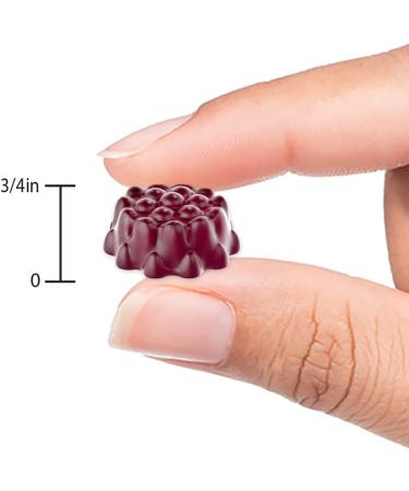 Nature's Truth Sambucus Black Elderberry Gummies with Vitamin C & Zinc - 50 Vegan Gummies - Buy Online on GoSupps.com