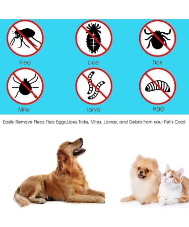 Tick Remover Tools for Dogs Cats and Humans - 3Pcs Painless Tick Extractor Set by BIZ UK - Buy Online on GoSupps.com