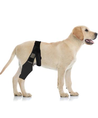 Dog Knee Brace Dog ACL Knee Brace Hind Leg Dog Leg Braces for Back Leg Cruciate Care Knee Brace for Supporting Dogs with Torn ACL Muscle Hind Leg Joint Discomfort (L)