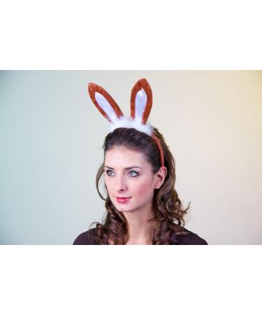 Head bar with brown rabbit ears