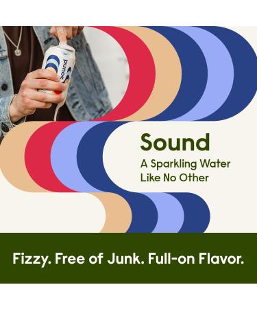 Organic Blueberry Cinnamon Hibiscus Tea Sparkling Water - Zero Calories, Zero Sugar, Non-GMO (Pack of 12) | Whole30 Approved, Caffeine Free Seltzer Water - 12 Fl oz - Buy Online on GoSupps.com