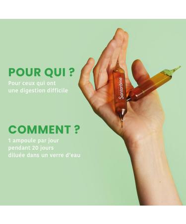 Santarome Bio - Organic Black Radish | Food Supplement Liver and Digestion | Bloating Hard Digestion - Organic Plants - Blac - Buy Online on GoSupps.com