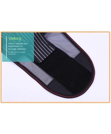 Back Brace Lumbar Support Lower Back Brace Double Pull Back Support Belt Breathable Posture Corrector Adjustable Waist Belt(Pink 3X-Large) XXX-Large Pink - Buy Online on GoSupps.com