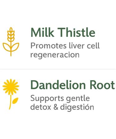 Cardo Mariano reforzado con diente Leon (Milk Thistle Reinforced w/Dandelion) 90 Vegetable Capsule 1500 mg per Serving, Root Liver Health Support, Antioxidant Support,100% Natural, Made by BexpertsUSA - Buy Online on GoSupps.com