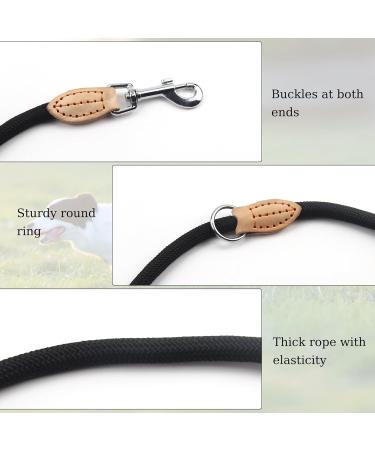 Stylish Adjustable Nylon Dog Leash for Large Dogs | Double Reinforced with Brown Leather Elements Perfect for Medium & Large Breeds - Buy Online on GoSupps.com