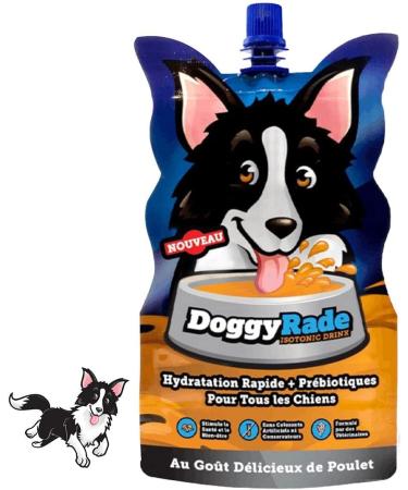 DoggyRade Isotonic Dog Water 500ml | Refreshing & Energizing Hydration for Dogs - Buy Online on GoSupps.com