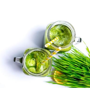 Kr uterland Organic Barley Grass Powder 500g - Pure Raw Food from Controlled Organic Cultivation - Premium Quality Barley Grass - Buy Online on GoSupps.com