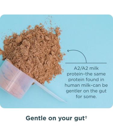 Ancient Nutrition Grass-fed Whey +Fat Loss Protein Powder Vanilla Cinnamon 18 Servings + Grass-fed Whey Protein Powder Chocolate Peanut Butter 18 Servings - Buy Online on GoSupps.com