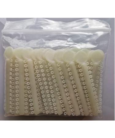 Orthodontic Ligature Ties Elastomeric O-rings Braces Rubber Bands - 1040pcs (Pear White) - Buy Online on GoSupps.com