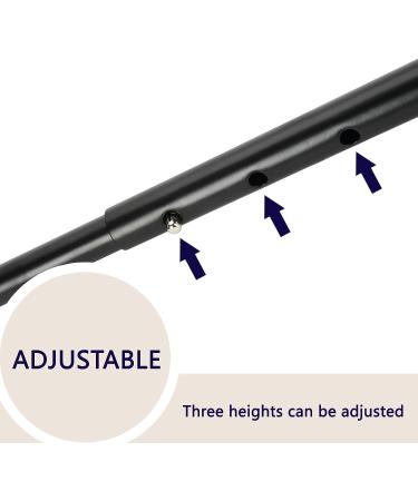 Lite-On Children Study Cycling Safety Balance Push Bar LT - Bike Safety Trainer Handle - Buy Online on GoSupps.com
