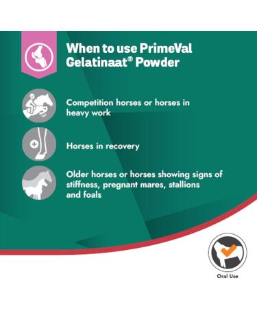PRIMEVAL Gelatinaat Powder Supports and Contributes to the Flexibility and Joint Function of the Horse Complementary Food Based on Collagen Type I and II Magnesium Calcium 2 kg Bucket - Buy Online on GoSupps.com