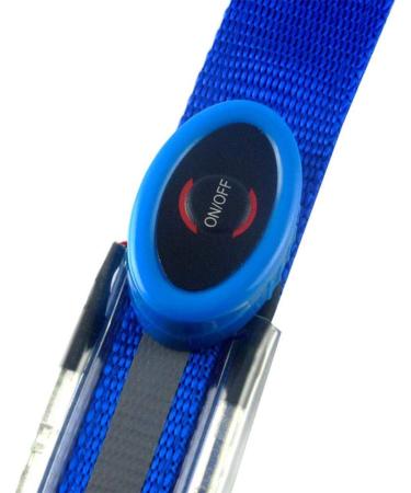 SGerste LED harness LED chest harness Horse harness with LED light Spot light Horse harness Horse chest strap for dark environment Outdoor And Equestrian (Blue) - Buy Online on GoSupps.com