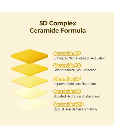 Torriden SOLID In Ceramide Lip Essence - 2 Pack Moisturizing Lip Balms with Organic Jojoba Oil & Ceramides for Glowy Plumped Lips - Korean Skin Care - Buy Online on GoSupps.com