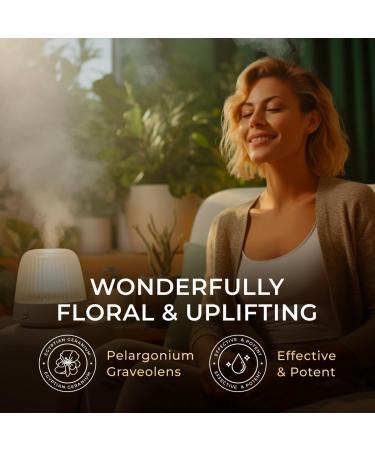 Egyptian Geranium Essential Oil for Skin & Rosemary Oil for Hair Set - Aromatherapy Grade Essential Oils Set - 2x0.34 fl oz - Gya Labs - Buy Online on GoSupps.com