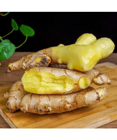Zercumm Small Yellow Ginger 2023 New Ginger Non-Mature Ginger250g