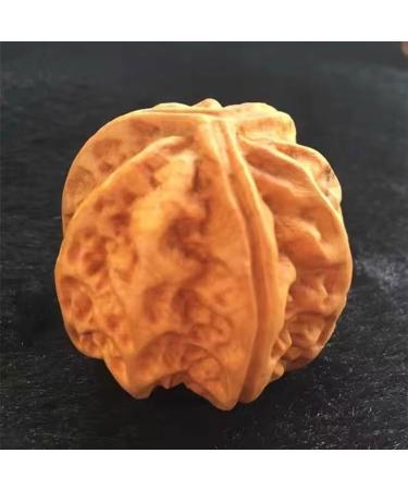 Unbit Ballstretcher & Magnetic Stress Ball - Fitness & Finger Exercise Tool for Handball Practice (Color: D) | International Shipping Available - Buy Online on GoSupps.com