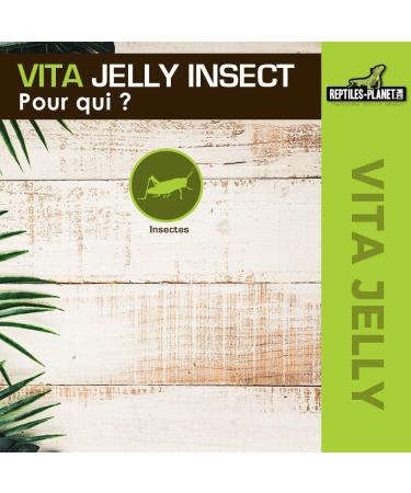 REPTILES PLANET Food Vita Jelly Mix Insects 10 Pcs - Buy Online on GoSupps.com