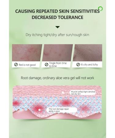 BLOSSOMBLISS Aloe Vera Gel from Freshly Cut Pure Aloe Vera - for Skin Hair Face and Scalp - Deep Hydration After Sun - Buy Online on GoSupps.com