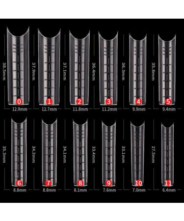 Forten 120PCS Dual Nail Forms | C Curve U Shape Nail System with Scale | 12 Sizes Acrylic & Gel Nail Tips Molds - Buy Online on GoSupps.com