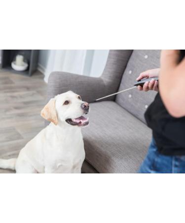 Trixie 19426 Protective Collar L-XL | Comfortable & Adjustable | Grey | International Shipping Available - Buy Online on GoSupps.com