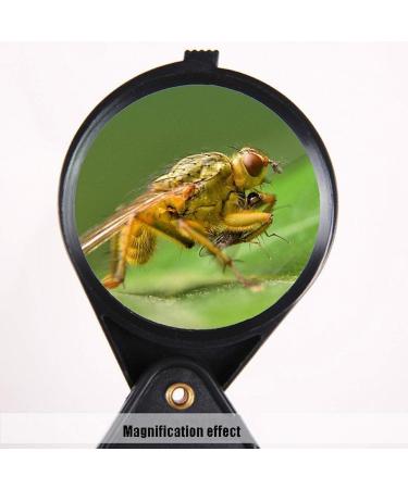 Glass Glass Mini Portable Folding HD Old Man Reading Glass Loupe (Color : Black) Good Times - Buy Online on GoSupps.com