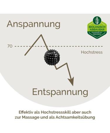 2x Biodegradable DBT Skills Hedgehog Ball - Magnetic Acupressure Massage Ball for Stress Relief & Focus | 32mm Black - Buy Online on GoSupps.com