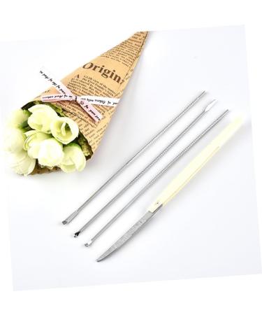 Stainless Steel Ear Tool Set - Ear Scoop & Spoon Kit | Silver Earmuffs - Buy Online on GoSupps.com