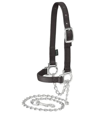 Weaver Leather Livestock Nylon Adjustable Sheep Halter with Chain Lead , Black - Buy Online on GoSupps.com