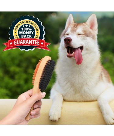 Crbn Short Hair Dog Brush - Detangling Shedding Coat Remover - Buy Online on GoSupps.com